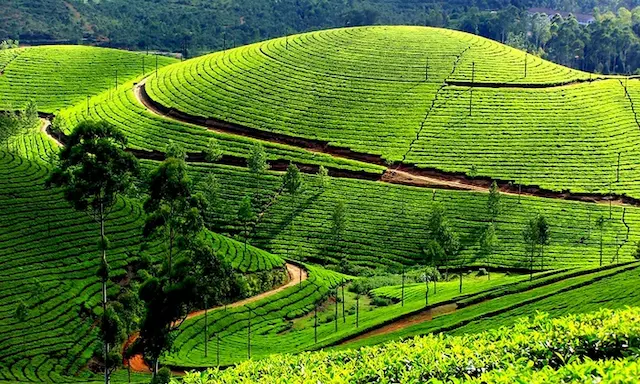 thailand image