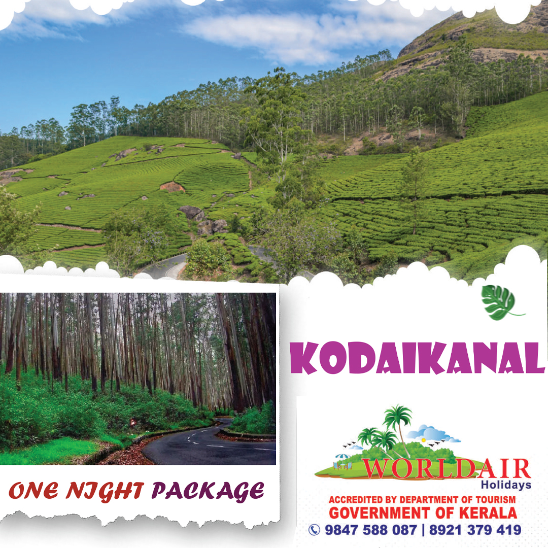 KODAIKANAL ONENIGHT PACKAGE (NIGHT)