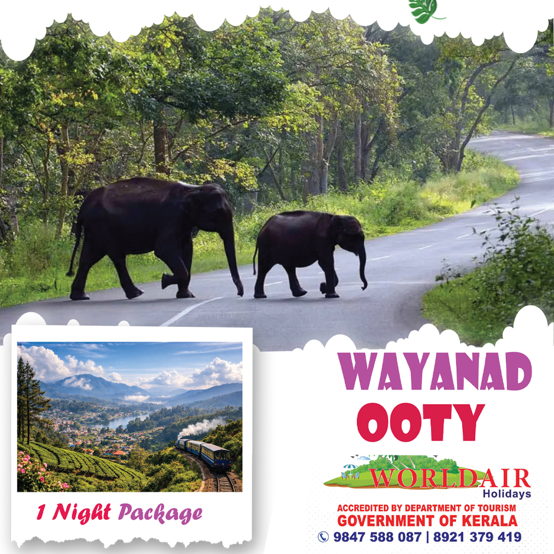 WAYANAD , OOTY ONE NIGHT PACKAGE